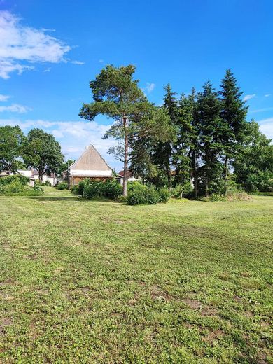 hinterer Bereich Garten