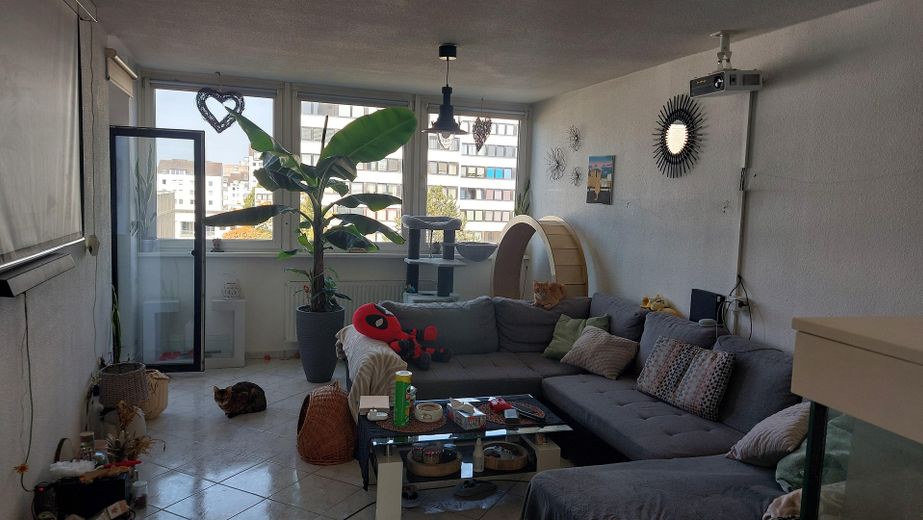 3 Zimmerwohnung mit Einbauküche in Kerpen-Brüggen zu vermieten – Wohnzimmer