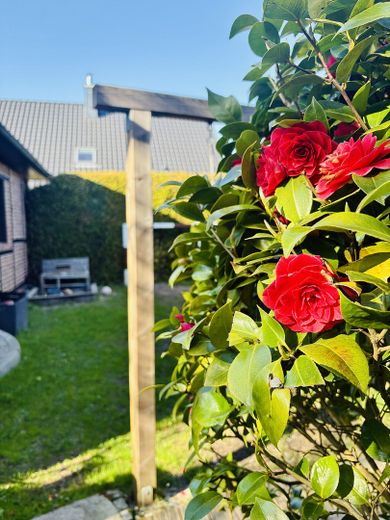 Charmantes Fachwerkhaus in Bergstedt – Garten