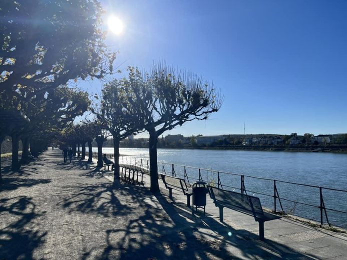 Exklusives City-Apartment mit großzügiger Wohnloggia in Top-Lage – 1 Minuten Gehweg zum Rhein