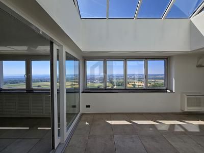 PENTHOUSE SUCHT KAPITALANLEGER – 1782450569_620fa6.jpg