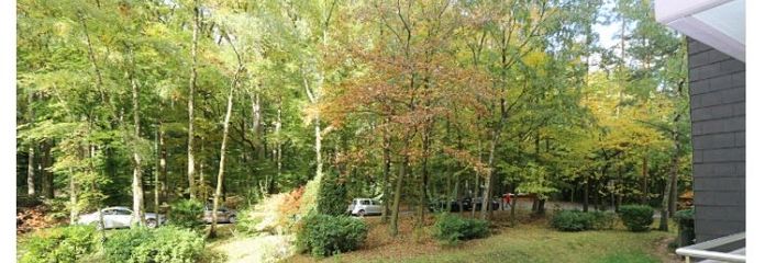 +++ LUFTIGE und GEPFLEGTE Wohnung in unmittelbarer WALD Nähe +++