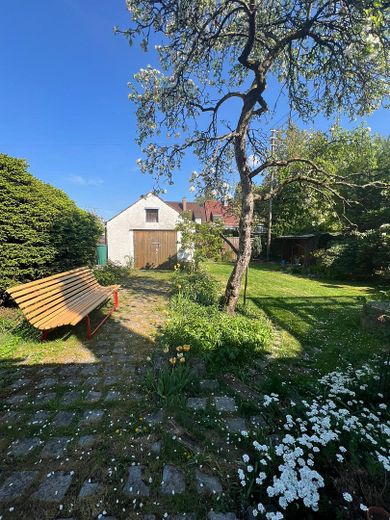 Garten mit Apfelbaum