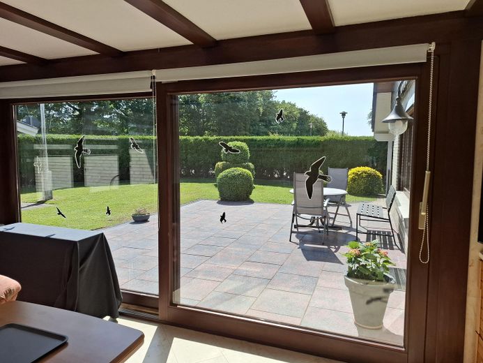 Haus/Ferienhaus an der Ostsee  200m zum Strand – Blick aus dem Wintergarten
