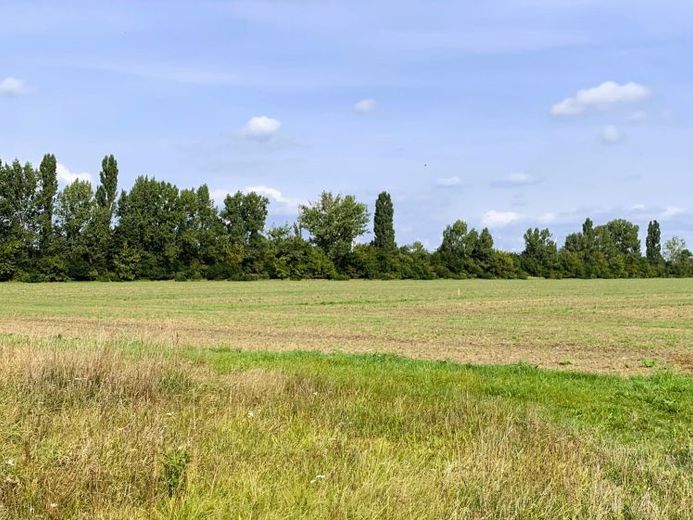 Bauplatz mit Weitblick für Einzel- oder Doppelhaus – Foto 1