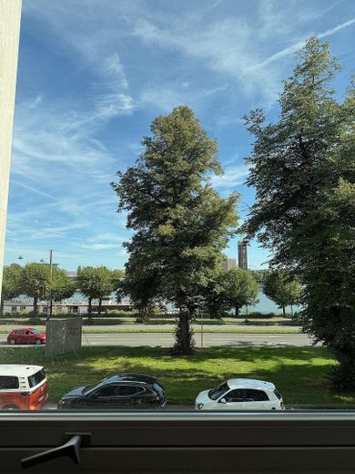 Ausblick auf den Rhein