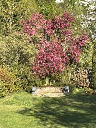 A special house – Blick von der Terrasse