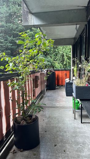 Inwestycja kapitałowa – apartament wakacyjny / inwestycja Airbnb w Sasbachwalden – Foto 3