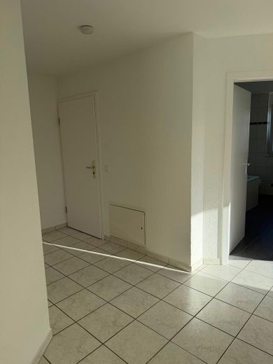 Appartement rénové de 3 pièces à proximité de la frontière – Eingangsbereich