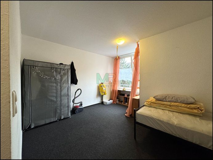 1-Zimmer-Wohnung inkl. TG-Stellplatz in Neckarstadt – Wohn- Schlafraum, 1