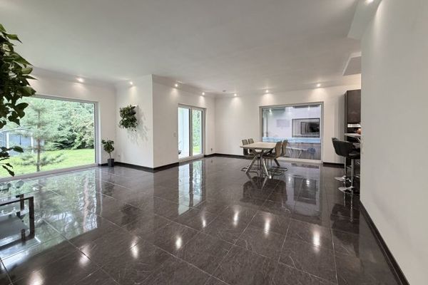 Two Modern Homes in Borkwalde | 368 m² Living Space, Pool & Sauna