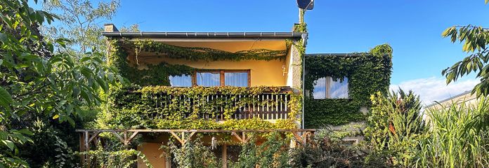 Provisionsfrei, EINFAMILIENHAUS MIT GARTEN in begehrter Wohngegend Dessau-Ziebigk – Haus_Gartenseite