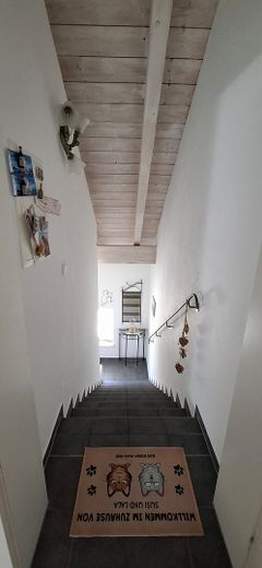 Exklusive, sonnige, aussergewöhnliche 5 Zimmer Dachgeschosswohnung am Waldrand – Separater Aufgang