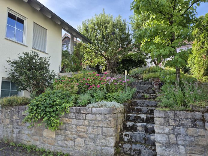 Müstakil, çok bakımlı müstakil ev – ÖZEL SATIŞ, KOMİSYONSUZ – Westseite Treppe zum Garten