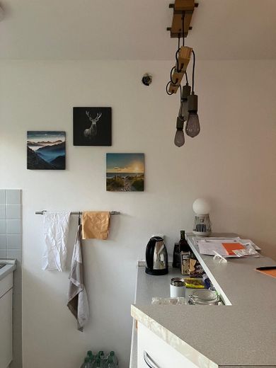 All inkl. WG Zimmer, neue Möbel, Whg renoviert, NK, Wlan, Strom inkl. – Küche Theke