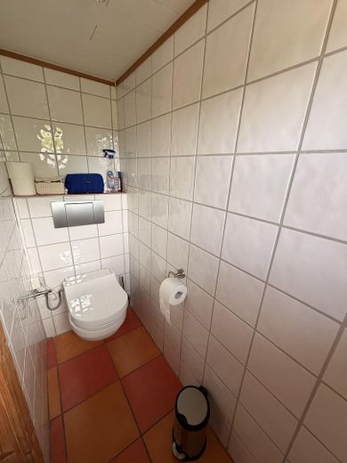1. OG Toilette im Badezimmer