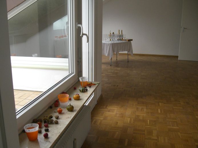 شقة تمليك في إمندينغن في موقع هادئ – Wohnzimmer leer mit Balkon