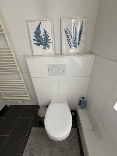 Nähe Frisenius Universität. Möblierte Wohnung ab sofort zu vermieten. – WC 