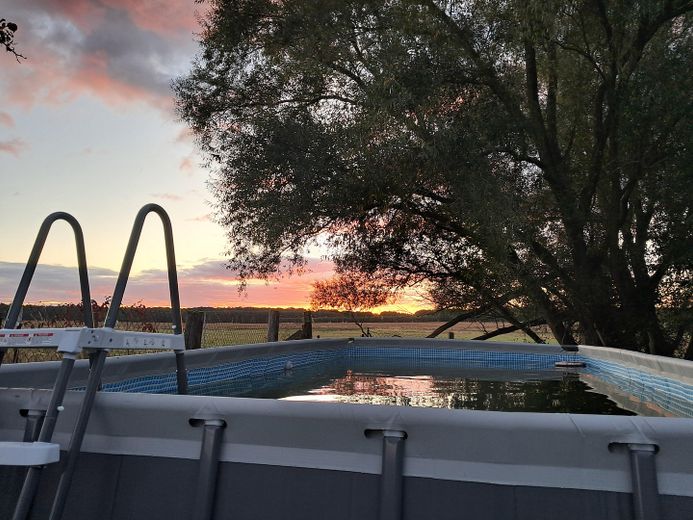 Idyllischer Vierseithof im schönen Fläming – Foto 18