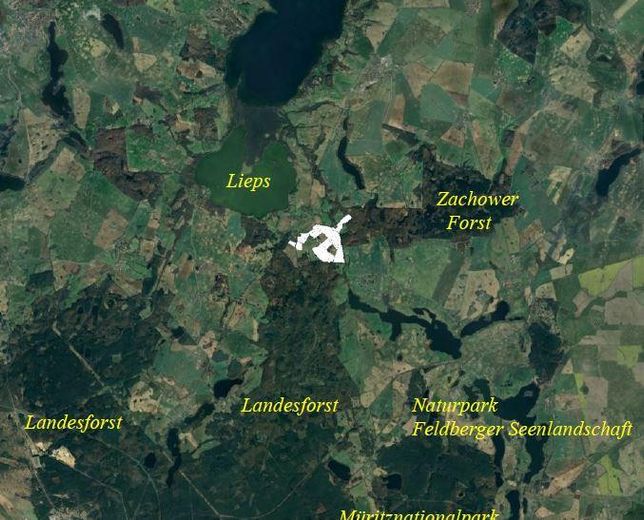 Umgebung