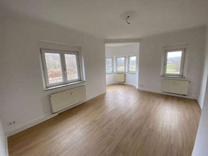 Sonnige, große 3-Raum-Wohnung in Plauen zu vermieten – Foto 1