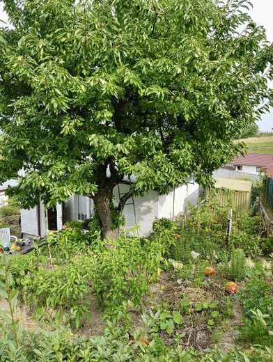 Seitliche Rückansicht