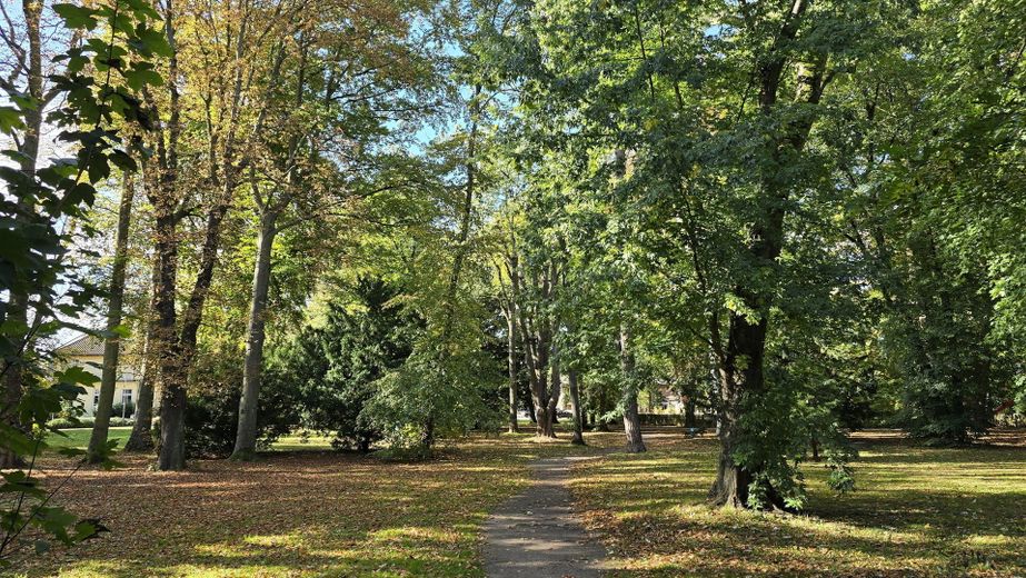 Gegenüber liegt der Park