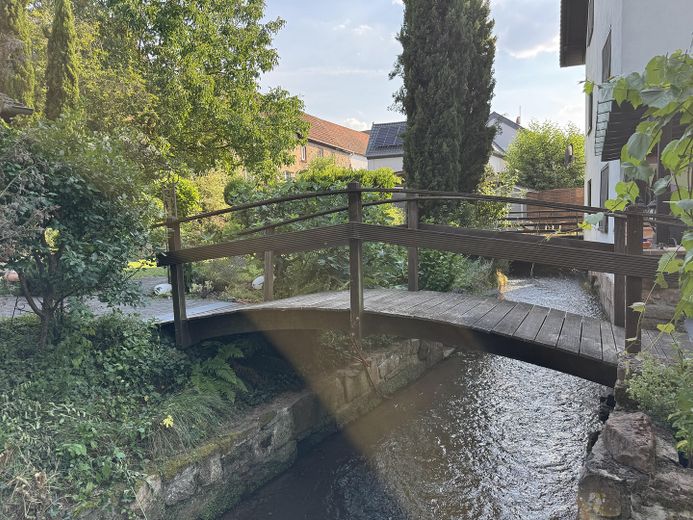Wohnen am Wasser: Ehemaliges Mühlenanwesen mit Pool, Bachgrundstück und 3 Wohneinheiten – Garten