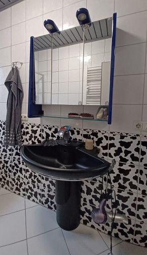 Bright 4-room apartment by Nuremberg City Park – Bad 3