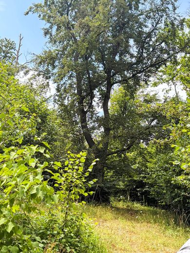 Riservato: storico eremo in un rifugio boschivo privato nella terra di Frau Holle – Photo 12