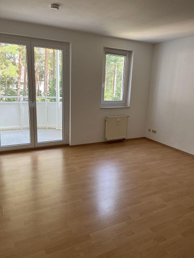 Sehr schöne 1-Zimmerwohnung im Grünen zu vermieten – Wohn-Schlafzimmer