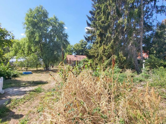 Wunderbares Grundstück mit Abrisshaus – Blick auf das angrenzende Baugrundstück nach hinten