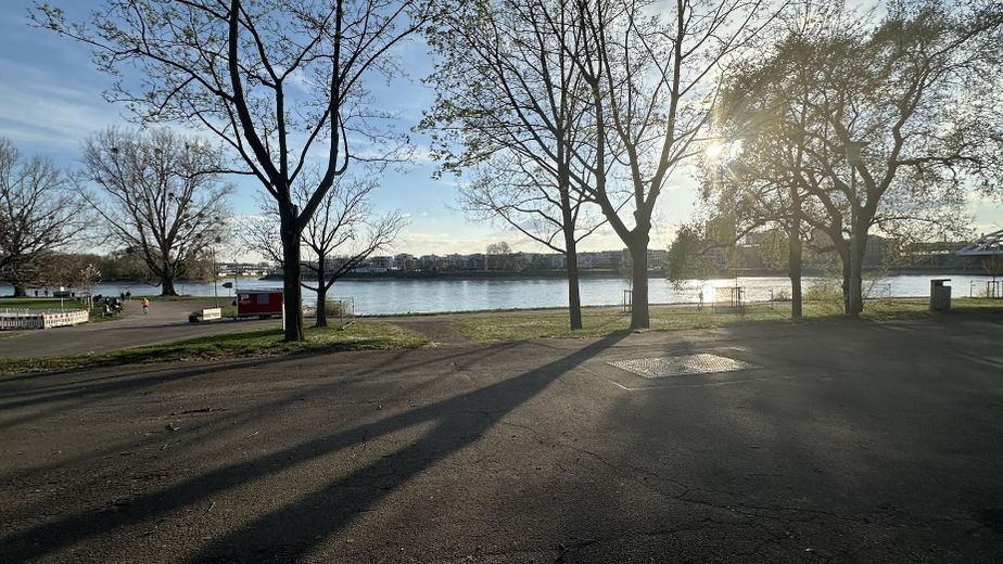 Kapitalanlage, Stephanien Ufer in erster Reihe am Rhein 3-Zimmer, modernisiert – Blick zum Rhein in 1. Linie