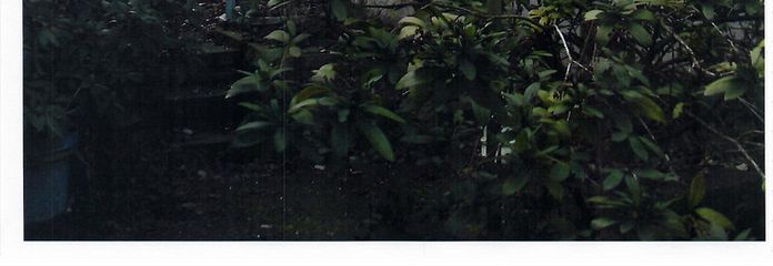 Nordseite Zug. Garten