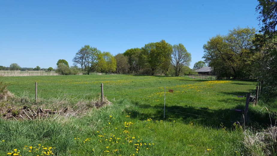 Ideal für Pferdehaltung - Einfamilienhaus, Baugrundstück, Stall und Hausweide / Resthof – Tonnenwiese