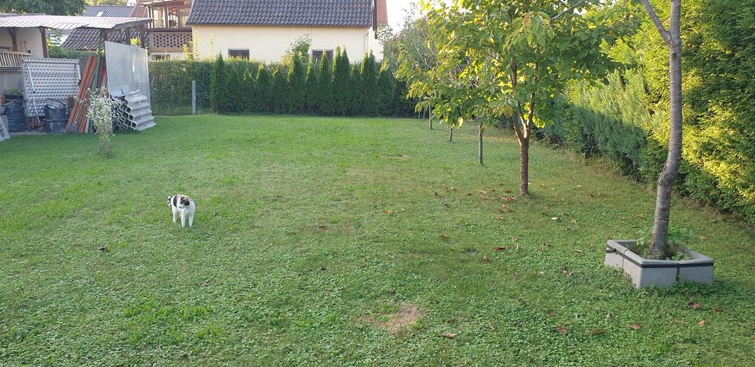 Kernsaniertes großzügiges Reiheneckhaus mit Einliegerwohnung und großem Garten – Foto 7