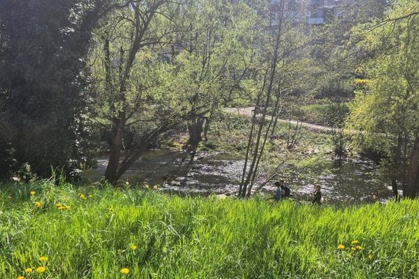 Offre de location : places de stationnement pour voitures dans la cour intérieure – Schwarzwaldstraße 15, Freiburg Oberwiehre - près de la Dreisam Schwabentor