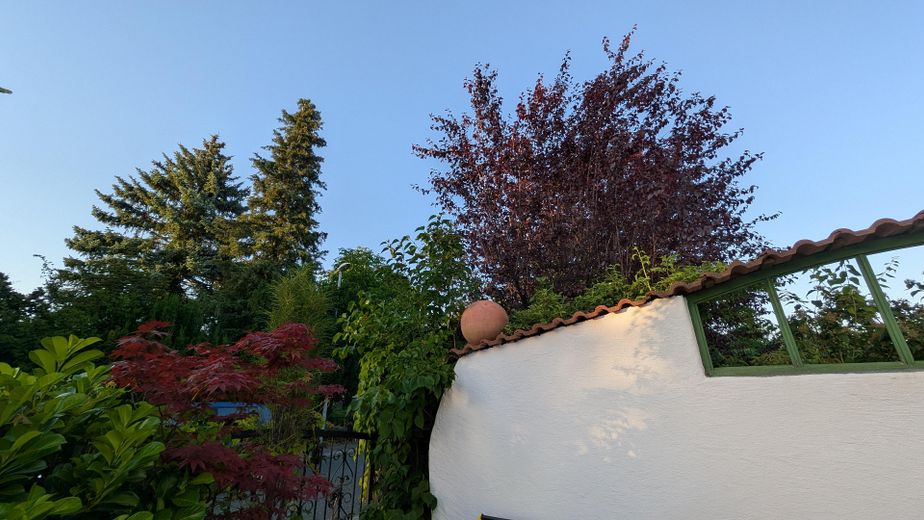Baubiologischer, moderner Wohntraum in Top-Lage  · Chemnitz - Glösa-Draisdorf – Ansicht Garten