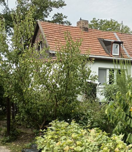 Wohnhaus Gartenansicht