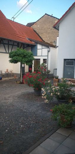 Altenstadt, casa unifamiliare + edifici accessori – Photo 4