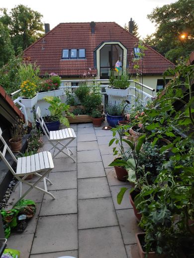 Dachterrasse mit Sonnenunterga