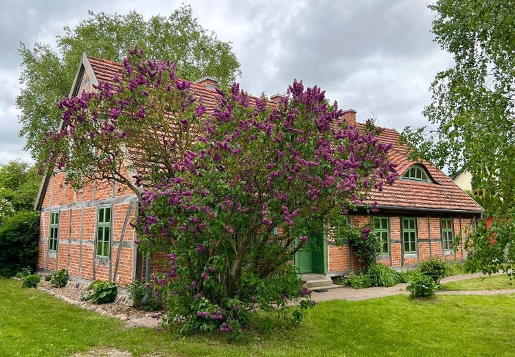21 Hektar Paradies – Häuser, edle Nebengebäude, Acker, Wiesen, Wald und Wasser – Foto 34