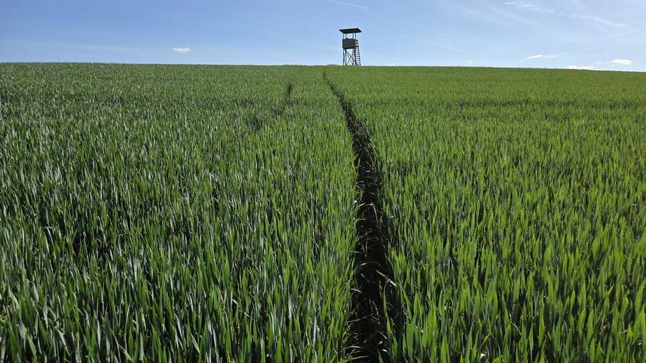 Landwirtschaftliche Ackerflächen in Leidersbach – provisionsfrei direkt vom Eigentümer – Jakob Bauers Gut