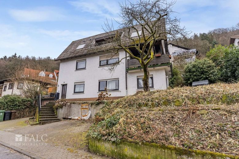 Großzügiges Zweifamilienhaus in Eberbach - 230 m² Wohnkomfort mit vielseitigen Nutzungsmöglichkeiten – DSC02025