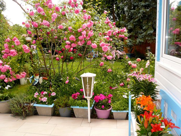 Idilliaca casa unifamiliare in stile bungalow con romantico giardino di rose – Foto 3
