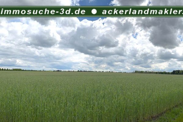 ca. 74 Ackerland und ca. 7 ha Grünland Nähe Anklam zum Verkauf