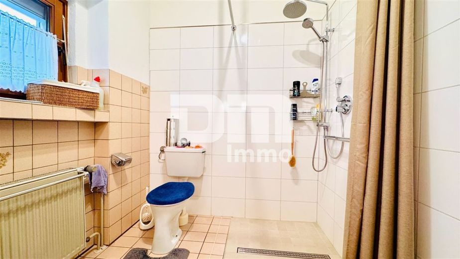 Modernisiertes Einfamilienhaus auf riesigem Grundstück mit Carport und Nebengebäude – EG Badezimmer / Dusche ebenerdig