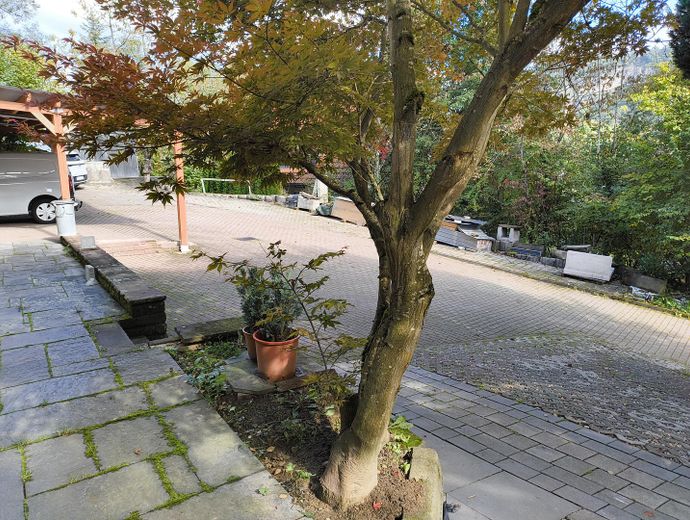 A-Stellplätze Rampe