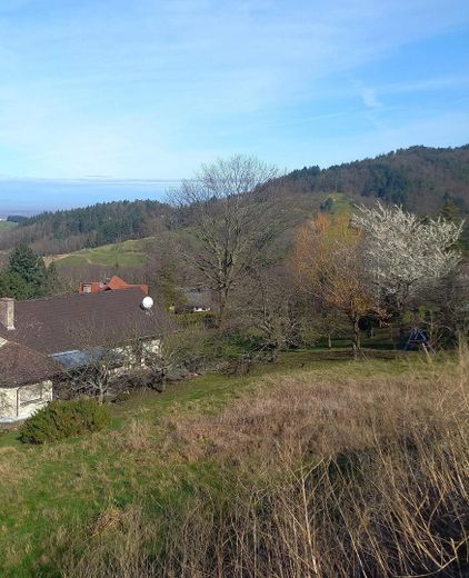 Tolle Aussichten