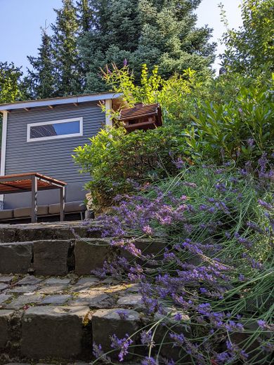 Autarkes Wohlfühlhaus – Aufgang zur Südterrasse